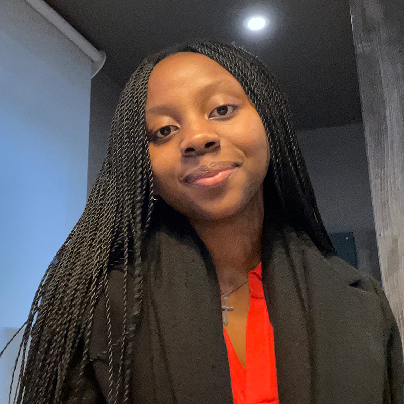 <br><br> <br><br> <br> <br><br> Abimbola Ibiwoye<br><p>Western Africa </p>