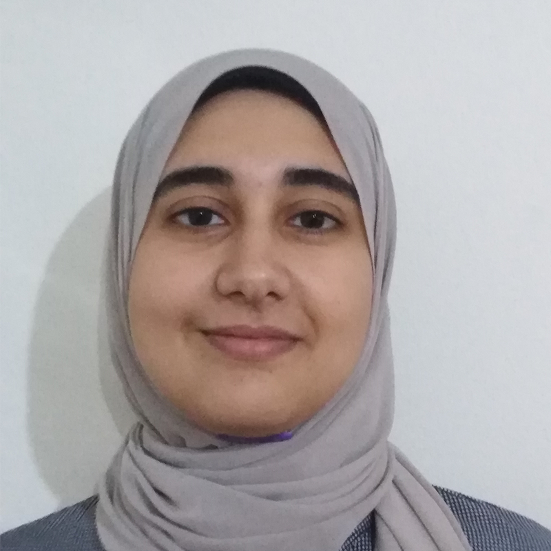 <br><br> <br><br> <br> <br><br>Mai Ehab Hamed Abo-Elabaasn<br><p>Northern Africa</p>